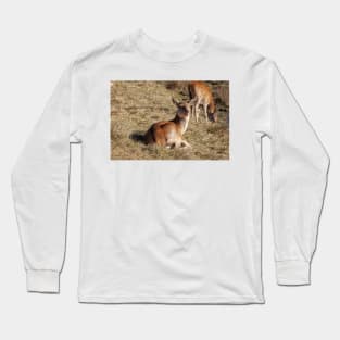 Red Deer Long Sleeve T-Shirt